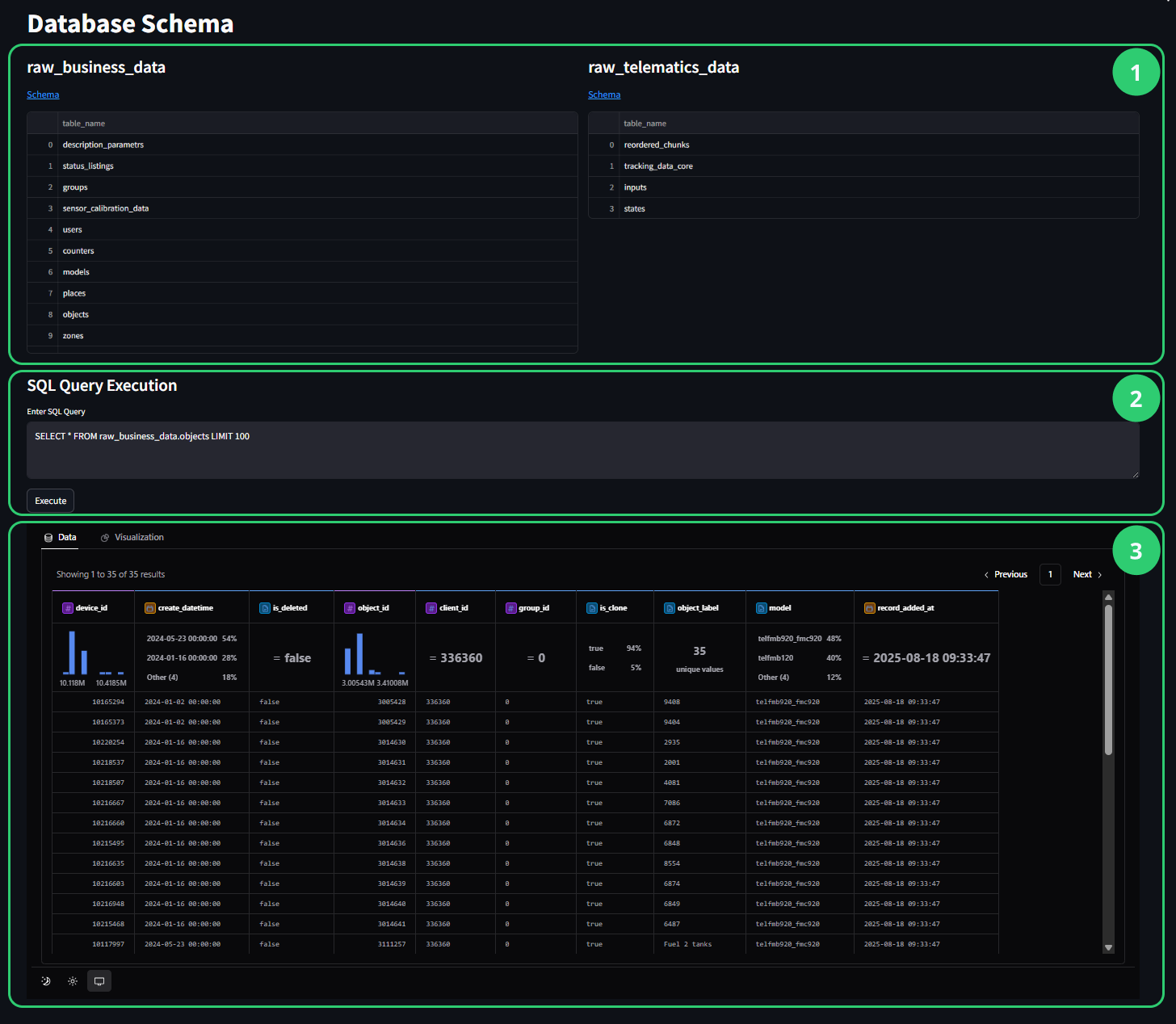 Database Schema browser showing raw_business_data and raw_telematics_data schemas with expandable table lists, SQL Query Execution panel with query input area and results display, and Visualization tab for chart creation